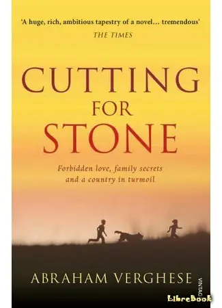 Обложка книги Рассечение Стоуна